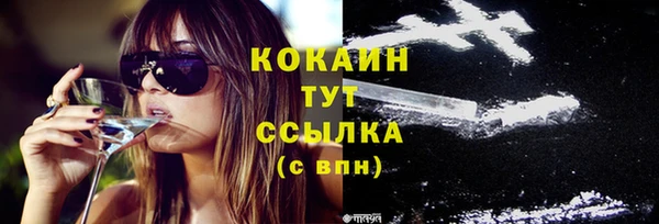 стафф Зеленокумск