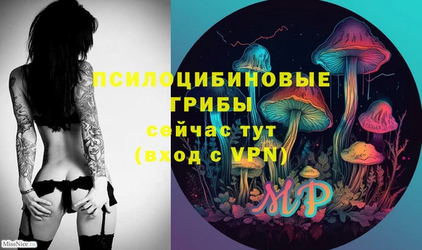 стафф Зеленокумск