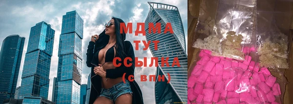 сатива Ельня
