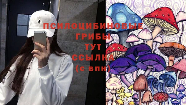 стафф Зеленокумск