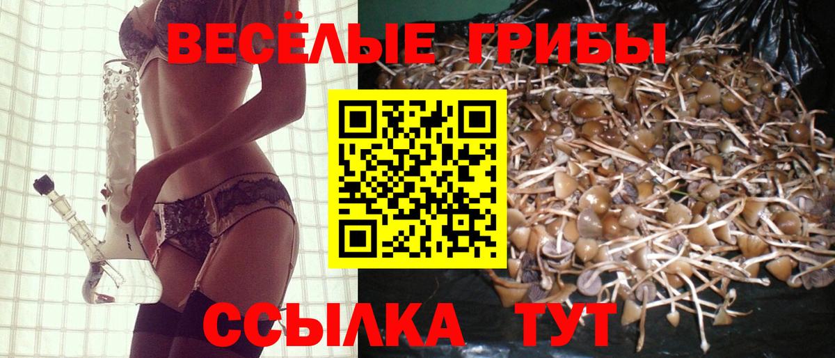 Пермь  Галлюциногенные грибы Magic Shrooms  Вход с VPN  Псилоцибиновые грибы Magic Shrooms 